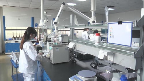 小区毗邻食品厂，居民忧心互联网食品销售安全