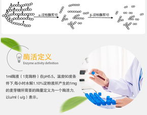 夏盛 β-淀粉酶液体70万 食品添加剂厂家直销与互联网销售新机遇