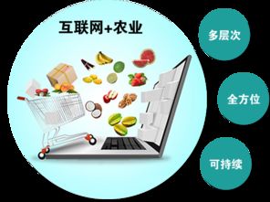 农产品触网 互联网时代，谁是下一个超级代言人？